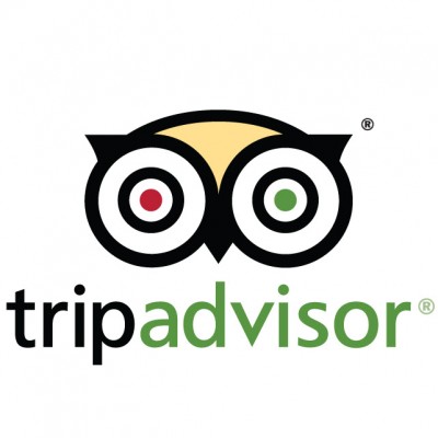 travel advisor