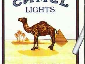 CAMEL Logo Font