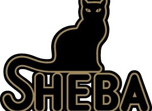 Sheba old logo Logo Font