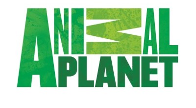 Animal Planet Logo Font