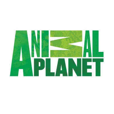 Fonts Logo » Animal Planet Logo Font